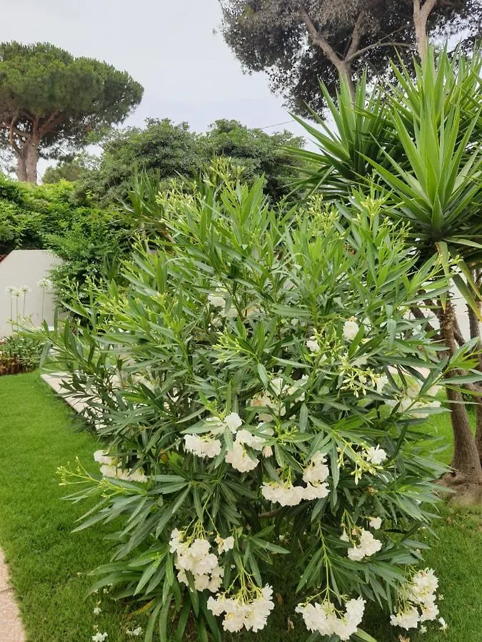 Sole D'Oro Iun S4354 Bed and Breakfast La Maddalena  Bed & Breakfast